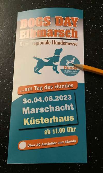 Neufundländer Freunde!-Beitrag-Bild
