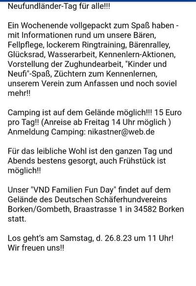 Neufundländer Freunde!-Beitrag-Bild