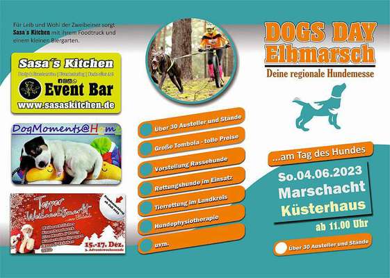 Neufundländer Freunde!-Beitrag-Bild