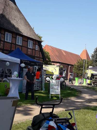 Neufundländer Freunde!-Beitrag-Bild