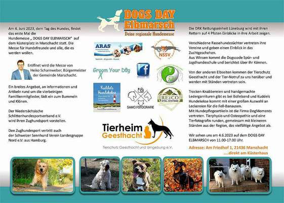 Neufundländer Freunde!-Beitrag-Bild