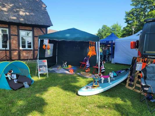 Neufundländer Freunde!-Beitrag-Bild