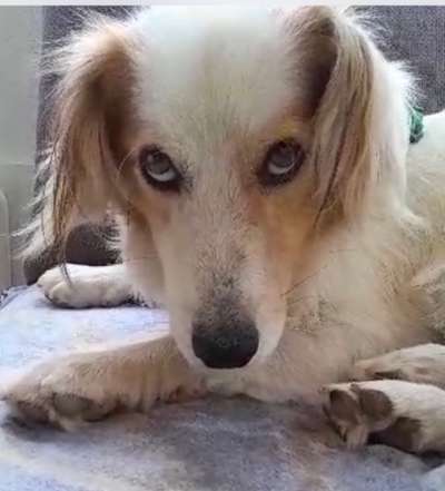 150. Foto Challaenge:  Die Augen, der Spiegel der Seele-Beitrag-Bild