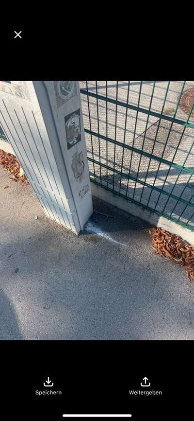 Giftköder-Sind das Giftköder?-Bild