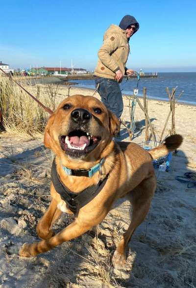 Fotowettbewerb Natur-Beitrag-Bild