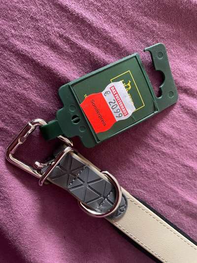 Neues Halsband von HUNTER 60 cm-Beitrag-Bild