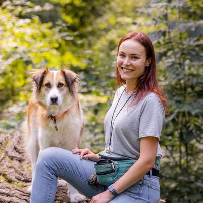 Hundeschulen-Martin Rütter Hundeschule Darmstadt / Gross-Gerau-Bild