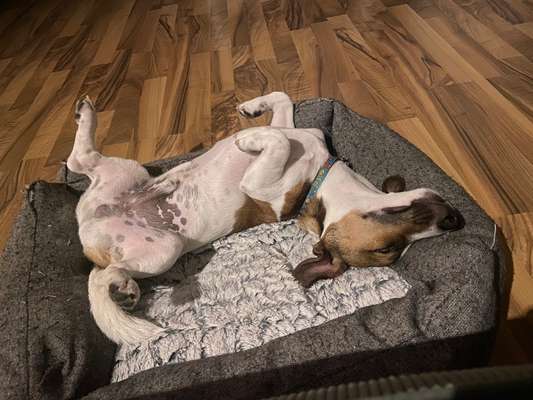 Die unbequemsten und lustigsten Schlafpositionen-Beitrag-Bild