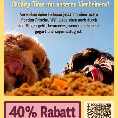 %{de_profession_title}-Hundefutter selbstgemacht-Bild