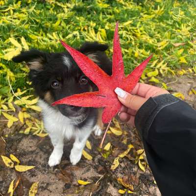 Zeigt eure Portraits-Beitrag-Bild