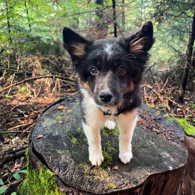 Zeigt eure Portraits-Beitrag-Bild