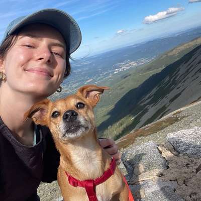 Hundetreffen-Gassi-Treff fhain