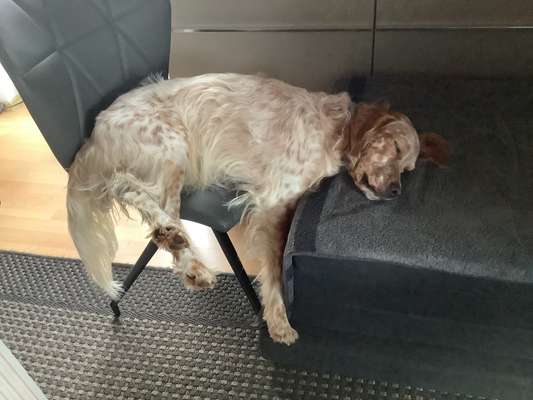 FOTO-Challenge  NR. 91: Die pure Entspannung-Beitrag-Bild