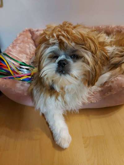 Her mit dem Grimassen-Beitrag-Bild