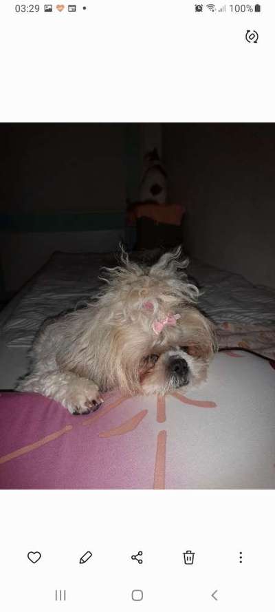 28. Handy-Fotochallenge - Damals und heute-Beitrag-Bild