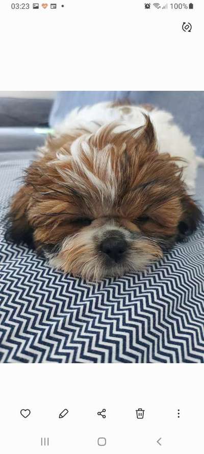 28. Handy-Fotochallenge - Damals und heute-Beitrag-Bild