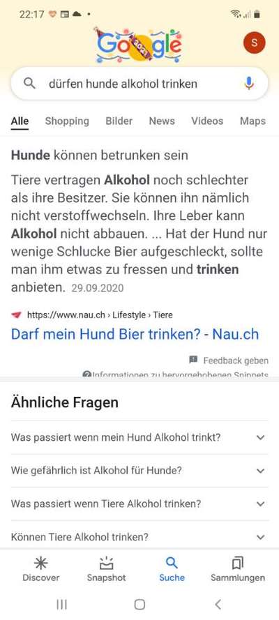 Silvester - Wann Gassi?-Beitrag-Bild