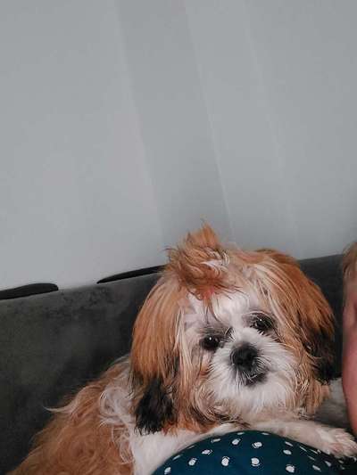 Fotochallange Nr. 57     PORTRÄT.   Beendet!!!!!!!!-Beitrag-Bild