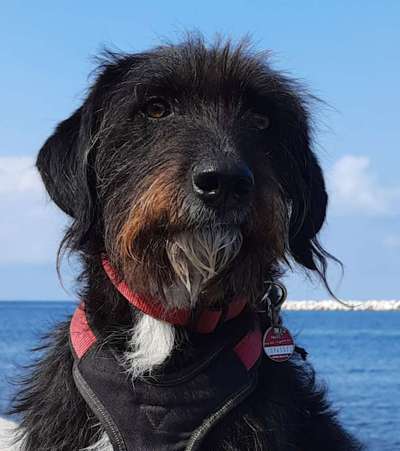 Fotochallange Nr. 57     PORTRÄT.   Beendet!!!!!!!!-Beitrag-Bild