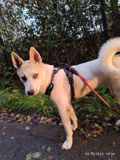 Lieblingsbild-Beitrag-Bild