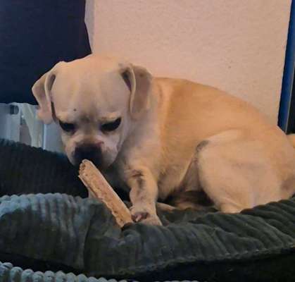 Kauspaß für kleine und große Schlinger-Beitrag-Bild