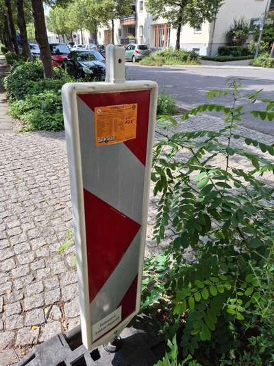 Giftköder-Rattengift ausgelegt 15.7-Bild