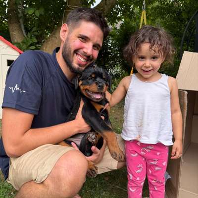 Hundetreffen-Welpe sucht Freunde-Bild