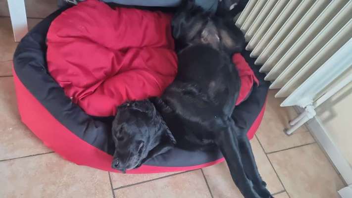 FOTO-Challenge  NR. 91: Die pure Entspannung-Beitrag-Bild