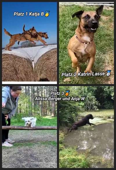 42. Handy Video Challenge-Beitrag-Bild