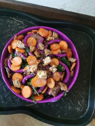 Zeigt her Eure Futternäpfe-Beitrag-Bild