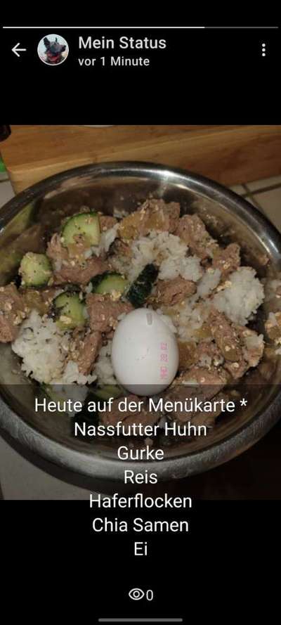 Zeigt her Eure Futternäpfe-Beitrag-Bild