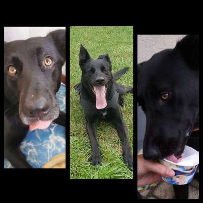 18. Collagen Challenge - Zunge raus!-Beitrag-Bild