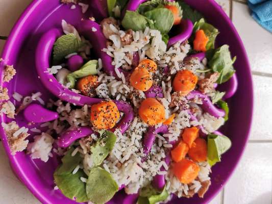 Zeigt her Eure Futternäpfe-Beitrag-Bild