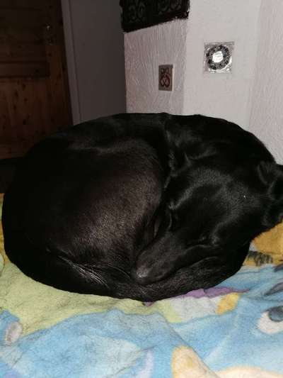 Fotochallange - Eingekugelt-Beitrag-Bild