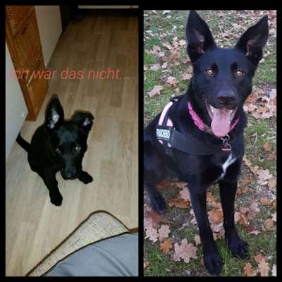 28. Handy-Fotochallenge - Damals und heute-Beitrag-Bild