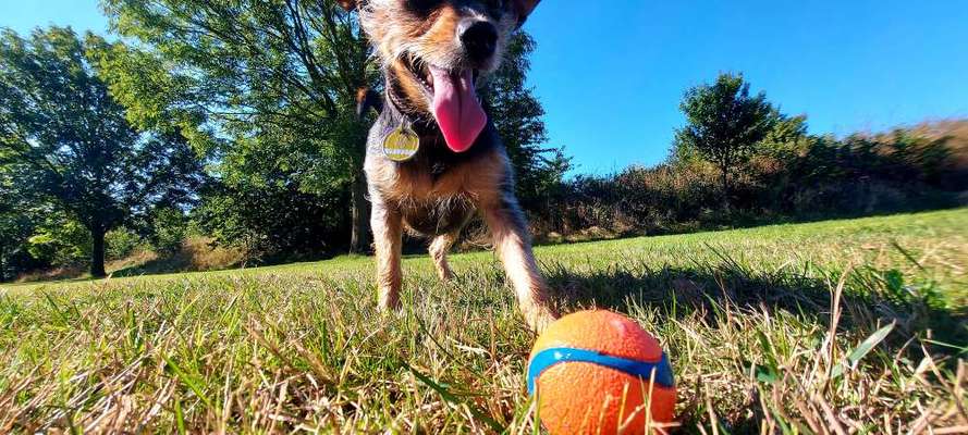 Handyfoto challenge Nr. 13: Waschlappen raus!-Beitrag-Bild