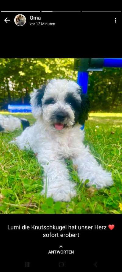 Handyfoto challenge Nr. 13: Waschlappen raus!-Beitrag-Bild