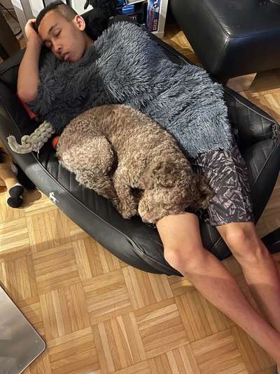 Fotochallenge Nr. 67: Euer Lieblingsbild-Beitrag-Bild