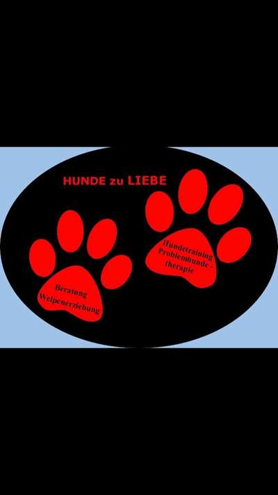 Hundeschulen-HUNDE zu LIEBE-Bild