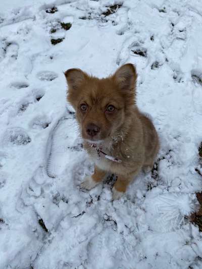 Sie werden so schnell erwachsen ...-Beitrag-Bild