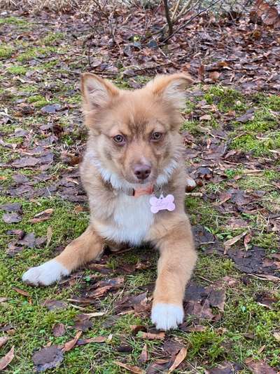 DNA Tests-Beitrag-Bild