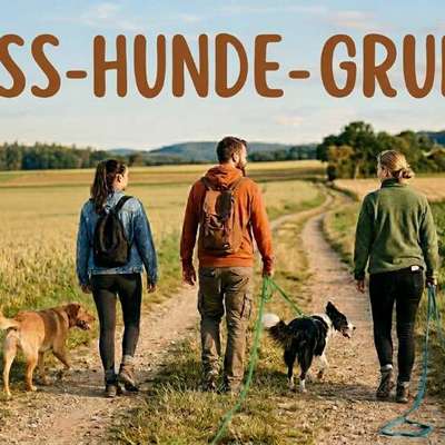 Hundetreffen-Gassitreffen-Bild