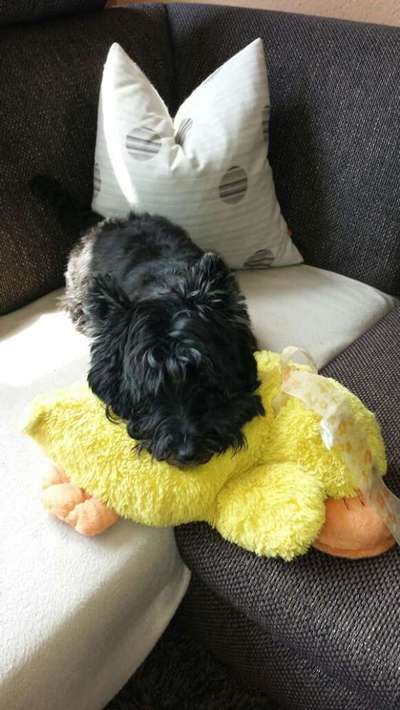 Unsere Sternchen ******-Beitrag-Bild