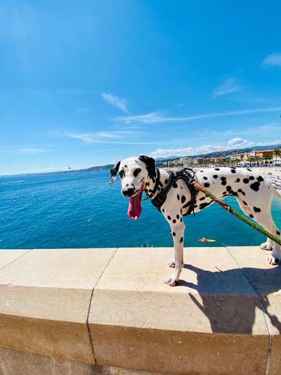 Eure Strandbilder :)-Beitrag-Bild