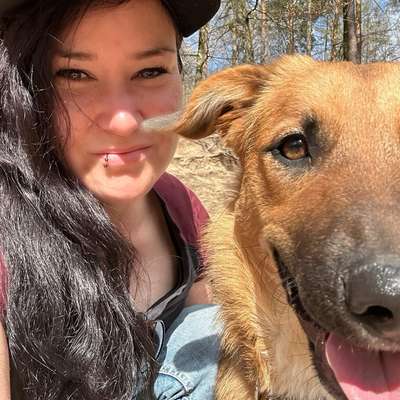 Hundetreffen-Gassirunde/ Spieltreffen-Profilbild