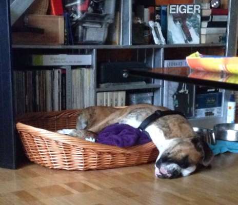 Die unbequemsten und lustigsten Schlafpositionen-Beitrag-Bild