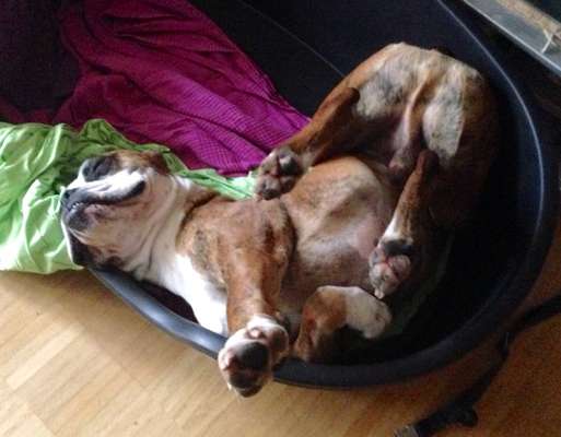 Die unbequemsten und lustigsten Schlafpositionen-Beitrag-Bild