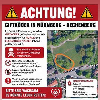 Giftköder-Giftköder in der Rechenberganlage-Bild
