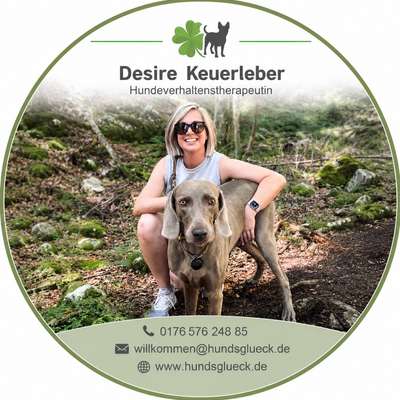 Hundeschulen-HundsGlück-Bild