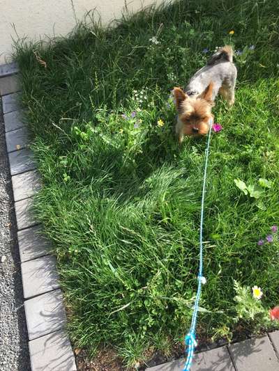 Handy-Foto-Challange Nr.9-Beitrag-Bild